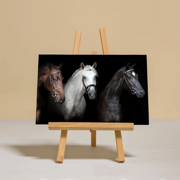 Canvas Printing - Landscape